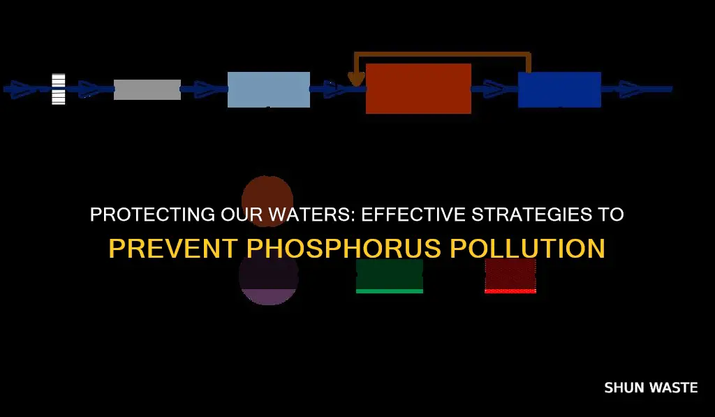 how to prevent phosphorus pollution in water