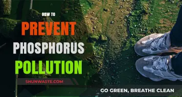 Preventing Phosphorus Pollution: Strategies for a Sustainable Future