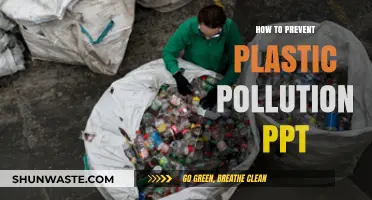 Preventing Plastic Pollution: Solutions for a Cleaner World