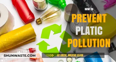Preventing Plastic Pollution: Small Steps, Big Impact