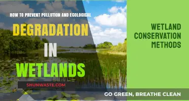 Protecting Wetlands: Preventing Pollution and Degradation