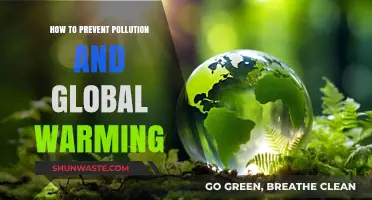 Preventing Pollution: Our Role in Fighting Climate Change