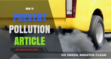 Preventing Pollution: Simple Steps for a Better Tomorrow