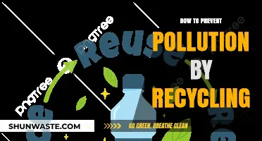 Recycling: Preventing Pollution, Saving the Planet