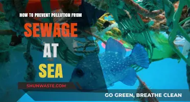 Protecting Our Oceans: Stop Sewage Pollution