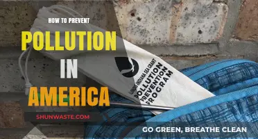 Preventing Pollution in America: Strategies for a Greener Future