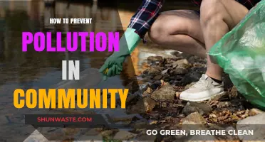Community Action for a Pollution-Free Future
