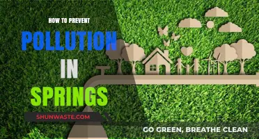 Protecting Springs: Preventing Pollution and Preserving Nature