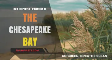 Protecting Chesapeake Bay: Pollution Prevention Strategies