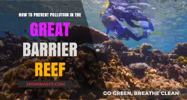 Protecting the Great Barrier Reef: Preventing Pollution