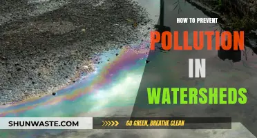 Protecting Watersheds: Preventing Pollution and Preserving Nature