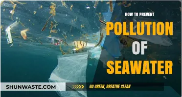 Protecting Our Oceans: Preventing Seawater Pollution