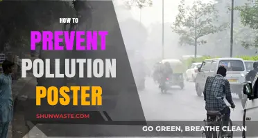 Preventing Pollution: A Visual Guide to Action