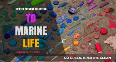 Protecting Marine Life: Preventing Pollution's Deadly Reach