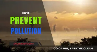 Preventing Pollution: Simple Steps for a Cleaner World