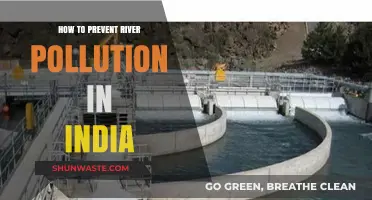 Preventing India's Rivers: Strategies to Combat Pollution