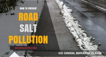Preventing Road Salt Pollution: Strategies for Greener Roads