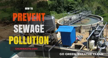Preventing Sewage Pollution: Strategies for a Cleaner Environment