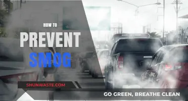 Preventing Smog: Strategies for Cleaner Air