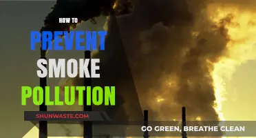 Stop Smoke Pollution: Tips for a Cleaner Environment