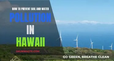 Protecting Hawaii's Paradise: Strategies to Prevent Soil and Water Pollution