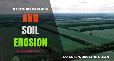 Protecting Soil: Preventing Pollution and Erosion