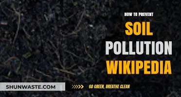 Preventing Soil Pollution: Simple Steps for a Healthy Planet