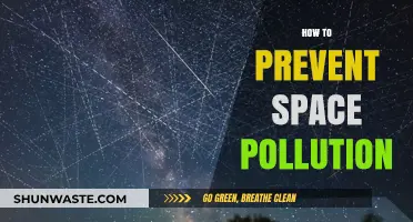 Space Sustainability: Preventing Pollution, Ensuring Future Exploration