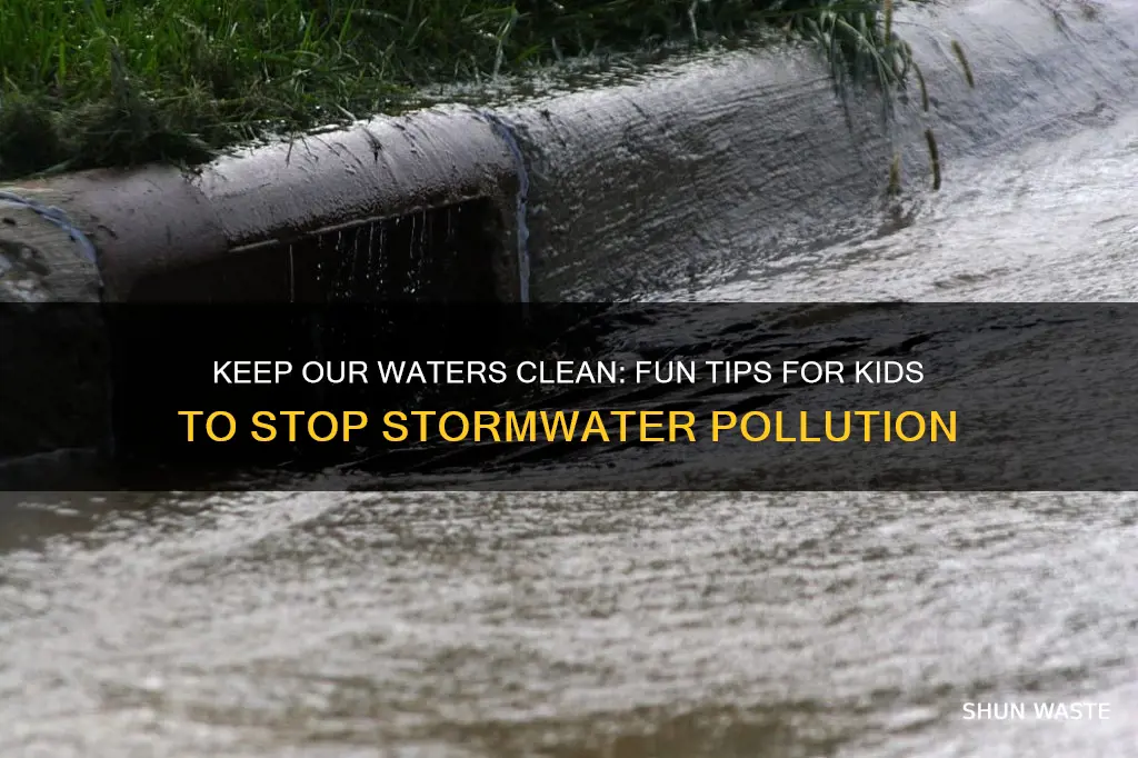 how to prevent storm water pollution for kids