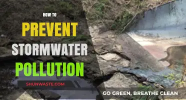 Prevent Stormwater Pollution: Simple Steps for a Cleaner Future