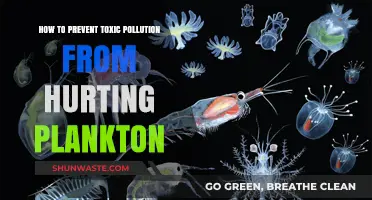 Protecting Plankton: Preventing Toxic Pollution's Harmful Impact