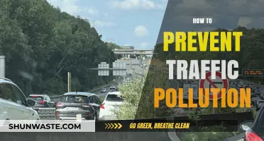 Traffic Pollution: Strategies for a Cleaner Commute