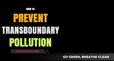 Preventing Transboundary Pollution: Strategies for a Sustainable Future