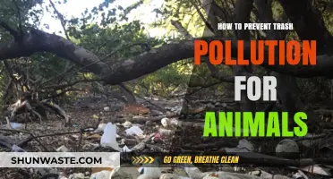 Protecting Animals: Preventing Trash Pollution