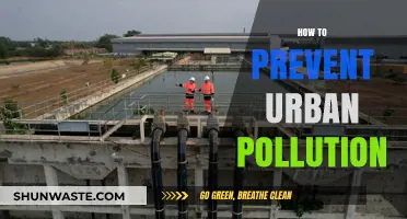 Strategies to Combat Urban Pollution and Improve Air Quality