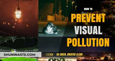 Designing for Clarity: Preventing Visual Pollution