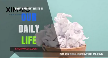 Sustainable Living: Simple Daily Habits to Reduce Waste Effectively