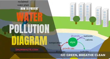 Visual Guide: Preventing Water Pollution with Simple Steps