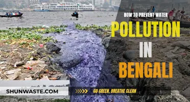 Clean Water, Green Future: Bengali Tips to Stop Pollution