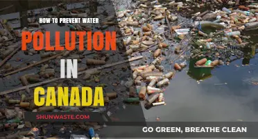 Canada's Guide to Stopping Water Pollution: Tips for a Healthier Environment