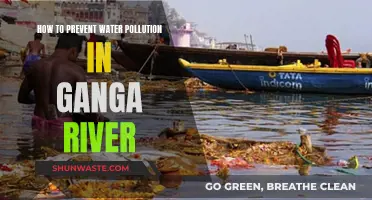 Ganga River: Strategies for Clean Water Conservation