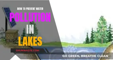 Protecting Our Lakes: Effective Strategies to Prevent Water Pollution