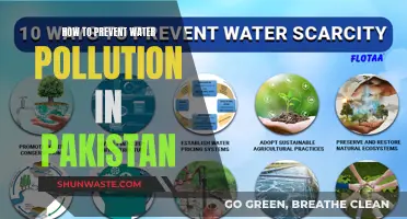 Paksitan's Waterways: Strategies to Keep Rivers Clean and Healthy