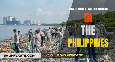 Sustainable Solutions: Protecting Philippines' Waters from Pollution