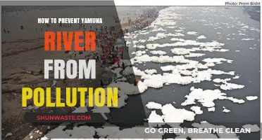 Saving Yamuna: Strategies to Combat Pollution
