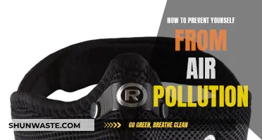 Protecting Yourself from Air Pollution: Masks and Air Purifiers