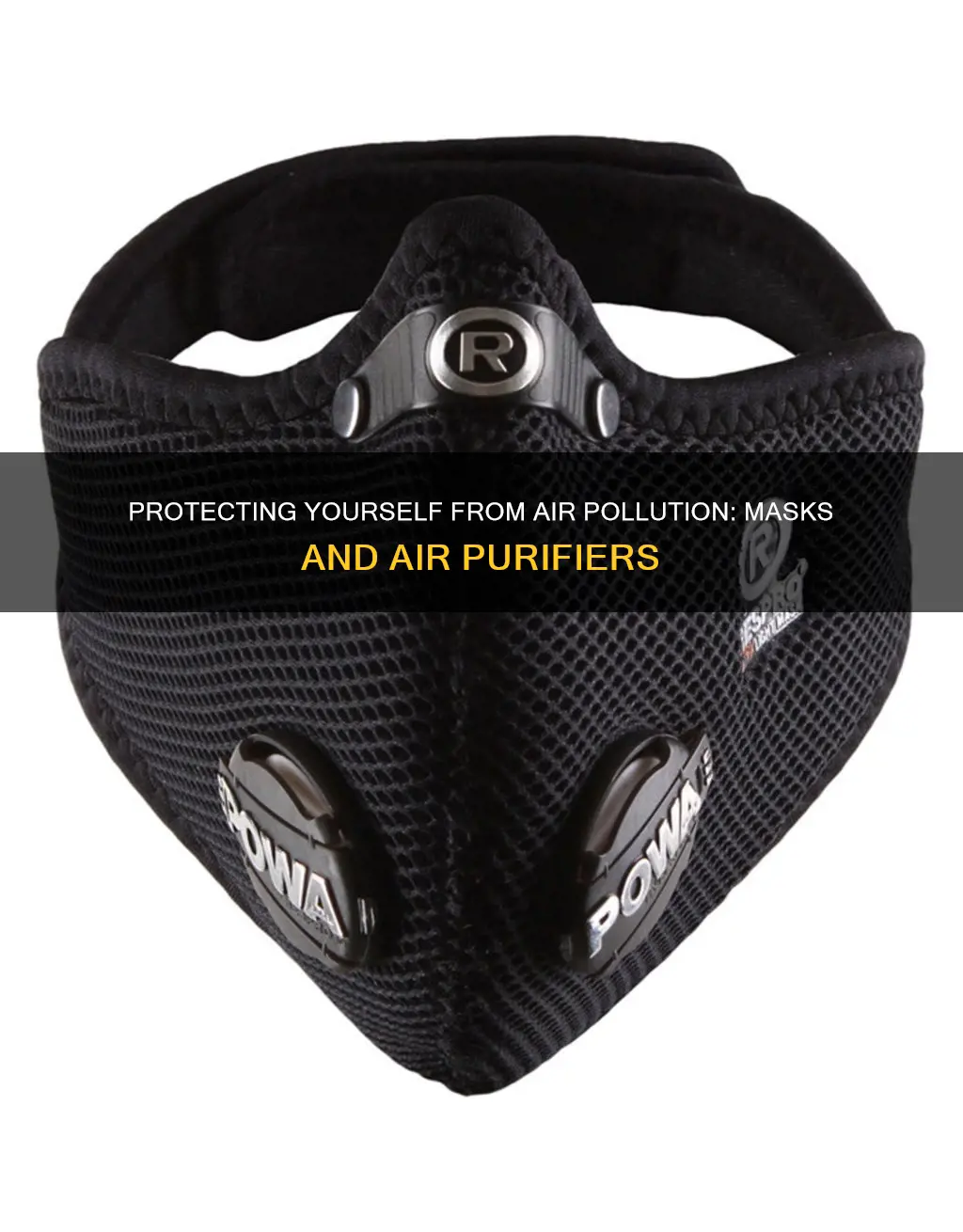 how to prevent yourself from air pollution