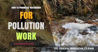 Protecting Watersheds: Prioritizing Pollution Efforts