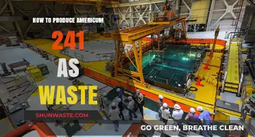 Producing Americium-241: Waste Generation and Management Strategies