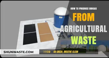 Transforming Agricultural Waste into Biogas: A Sustainable Energy Solution
